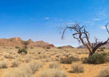 Sahel States Form Alliance, Sever Ties with ECOWAS