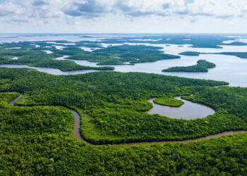 Florida Sued Over Controversial ‘Alligator Alcatraz’ Detention Center